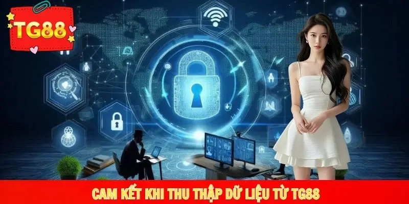 Cam kết của nhà cái khi thu thập dữ liệu